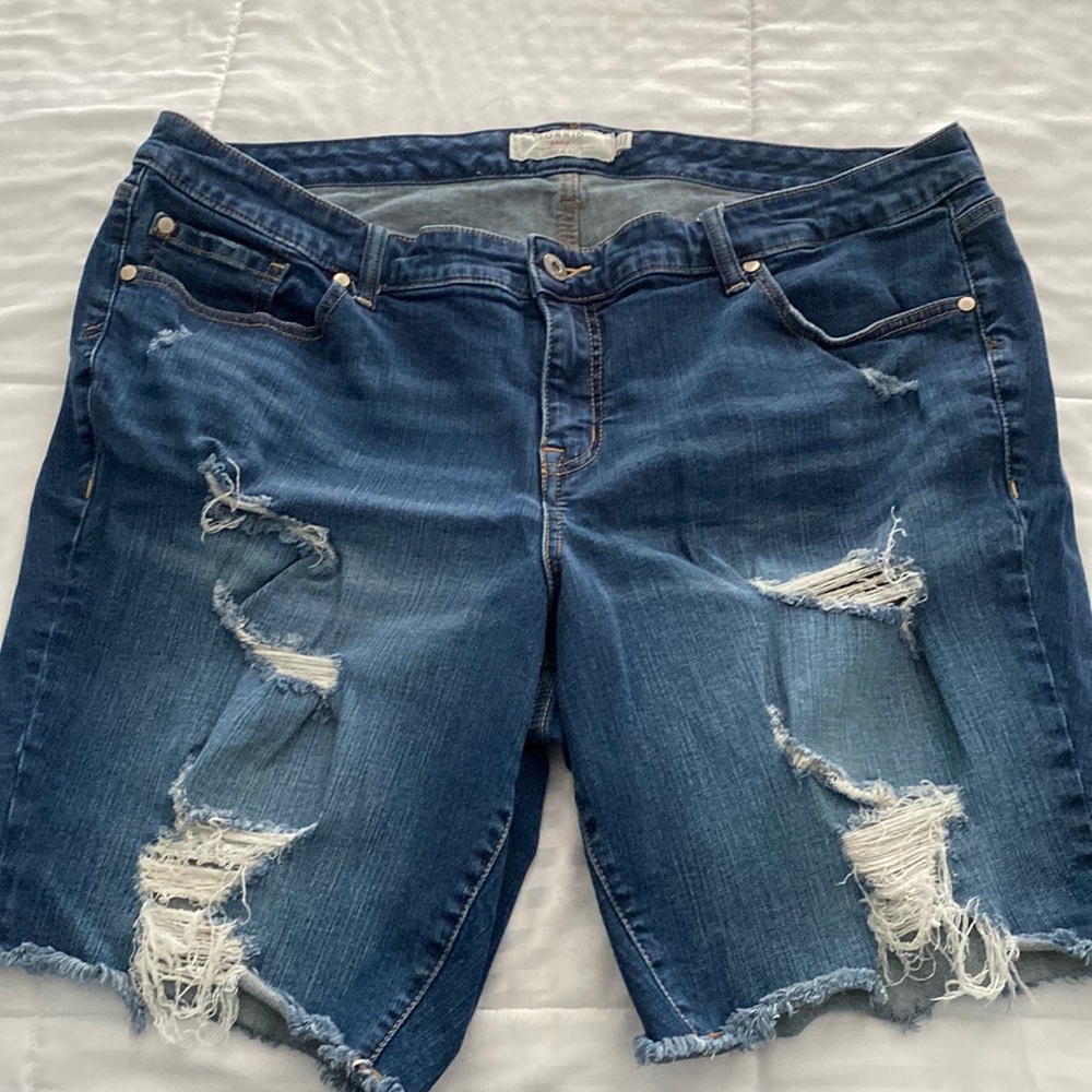 Torrid shorts